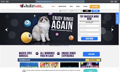 Whisker wins casino Chile